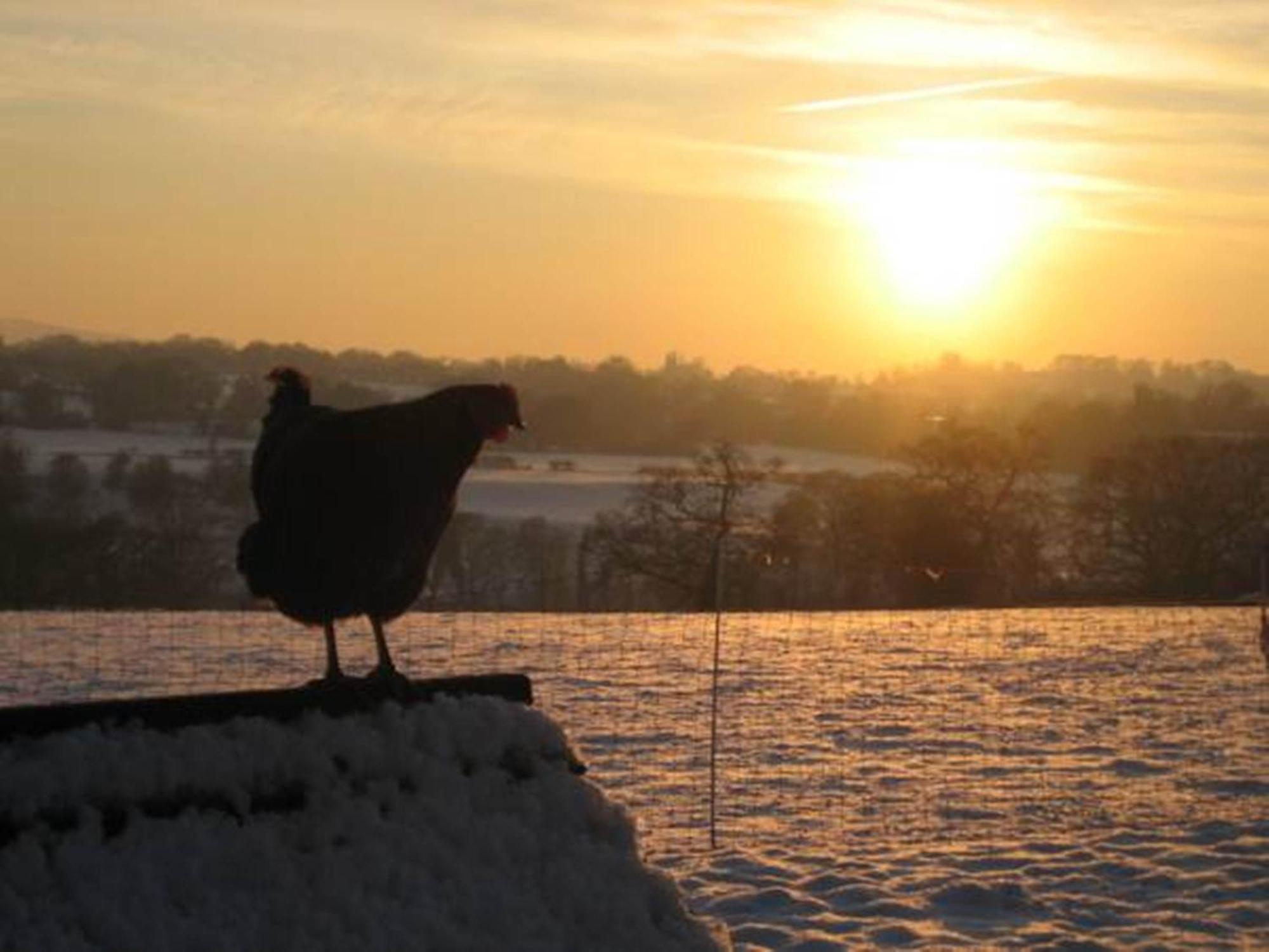 Ladderstile Retreat Bed and Breakfast Congleton Esterno foto